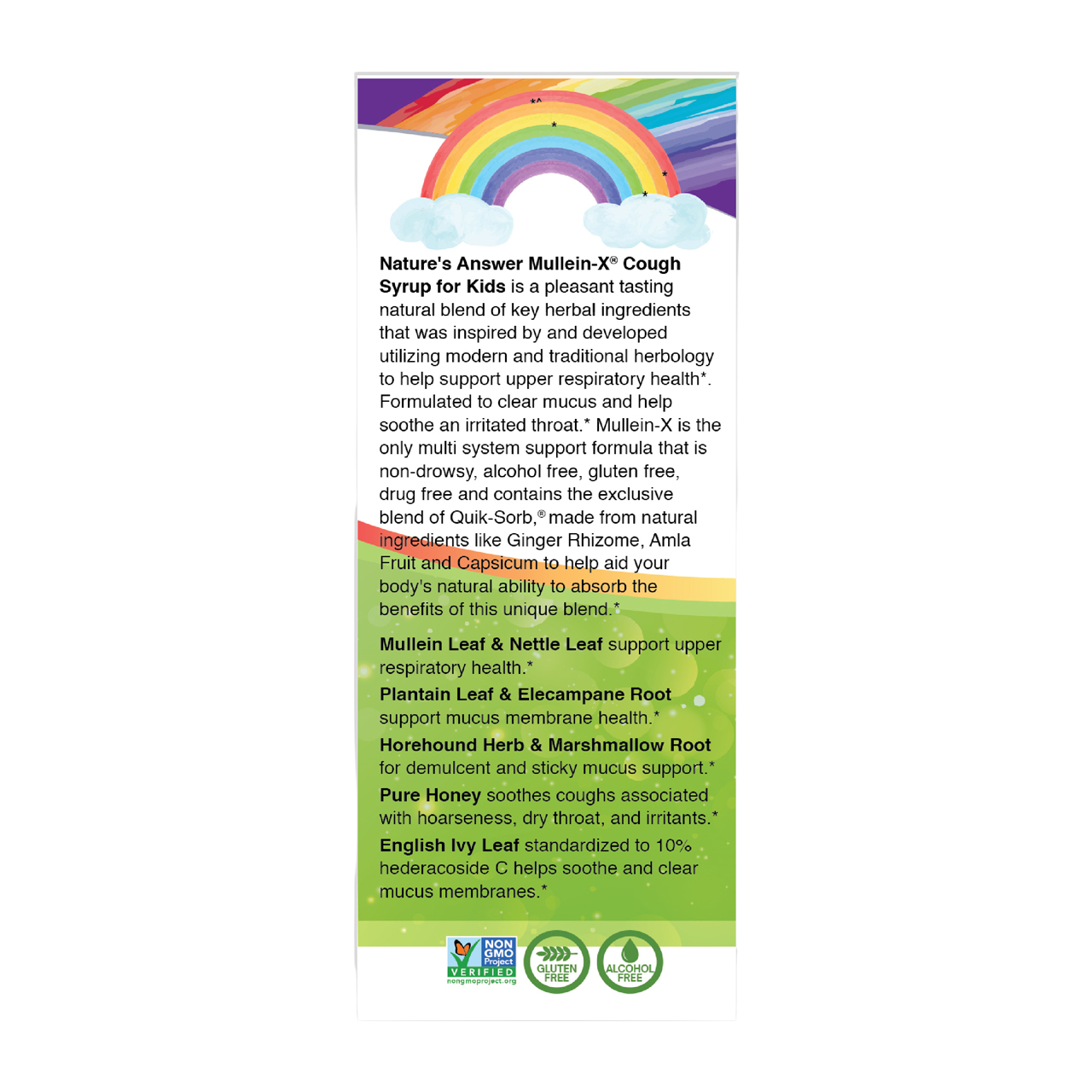 Kids Mullein-X® Cough Syrup - Image 4