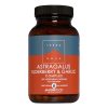 Astragalus Elderberry & Garlic Complex
